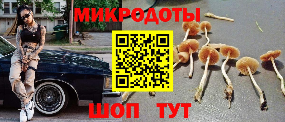 Псилоцибиновые грибы MAGIC MUSHROOMS  Вход с VPN  Новый Уренгой 