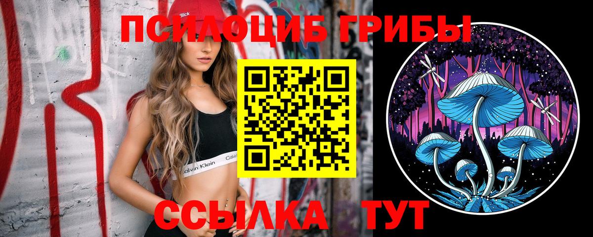 Галлюциногенные грибы ЛСД Новый Уренгой